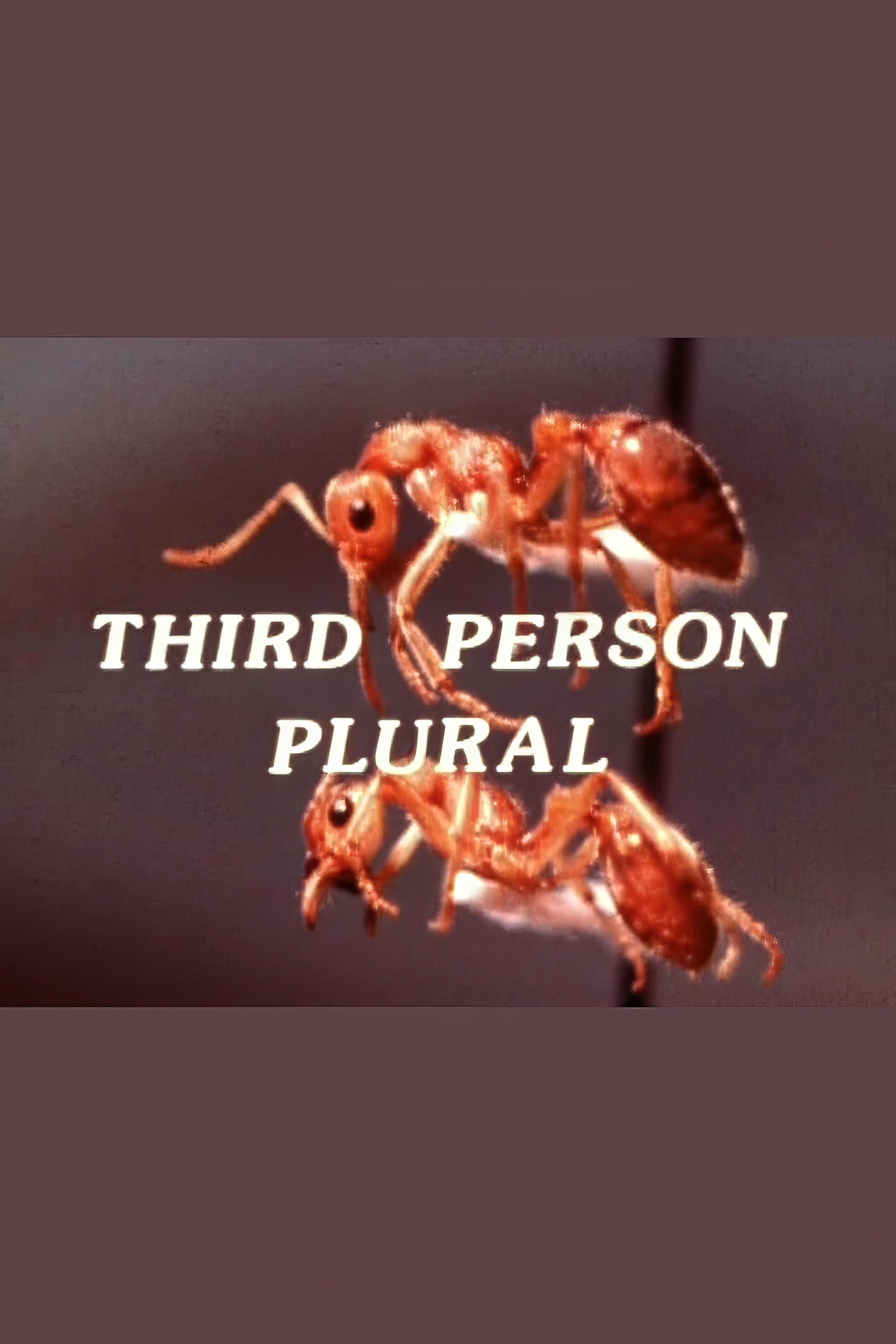 Постер Third Person Plural